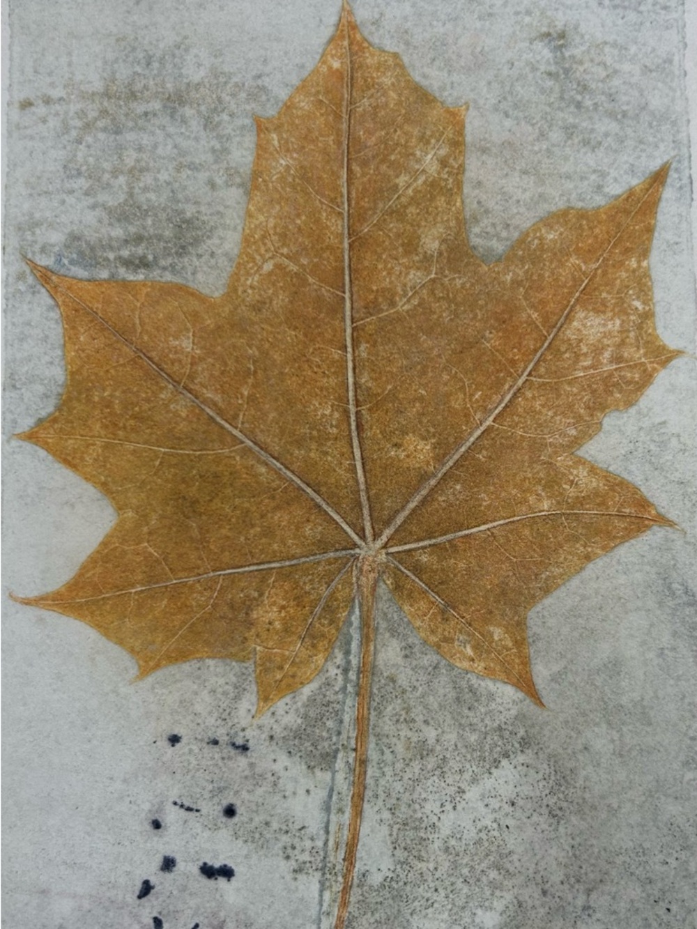 Large Golden Brown Maple Leaf Painting 6x9